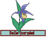 Gif animé bonne journée fleur